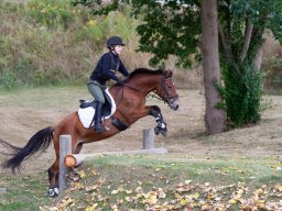 IMG_8264_web